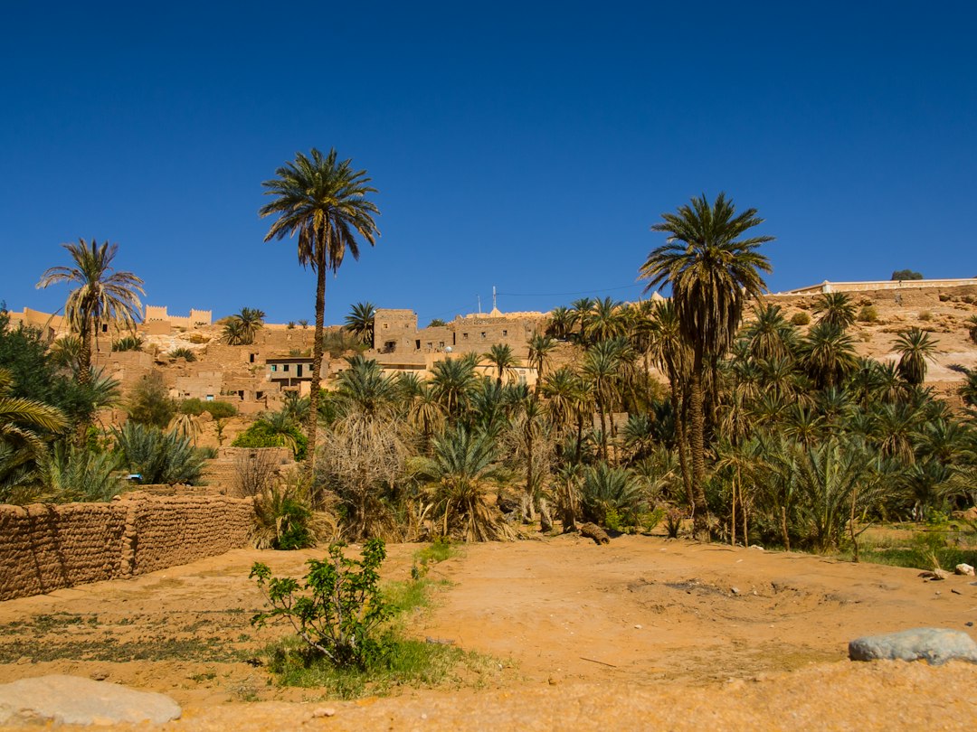 Algerie: En Reise Gjennom Historie og Arv